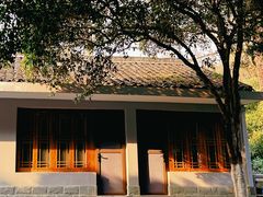 -杭州植物园