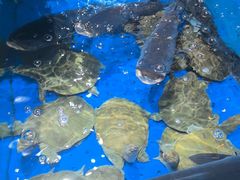 -炊江南·上海菜(国展华漕店)