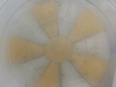 -来之顺海鲜菜馆·青岛菜·始于1993(栈桥店)