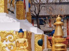 -护国法轮寺