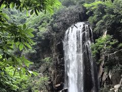-陕西省红河谷森林公园