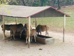 -深圳野生动物园