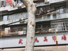 -武汉花鸟市场