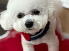 -爱派特动物医院·全科诊疗中心