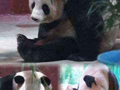 -杭州野生动物世界