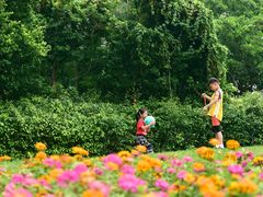 -二沙岛艺术公园