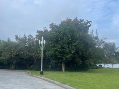 -浙江西子宾馆·瑶园咖啡厅