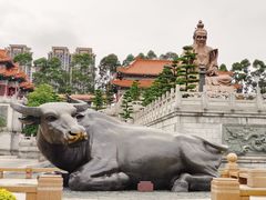 -广东圆玄道观