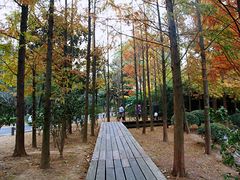 -宝界山林公园