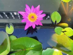 -梵天禅寺