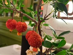 -奔跑吧陕菜·盛世长安(民乐园万达店)