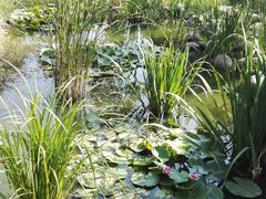 -武汉紫薇都市田园