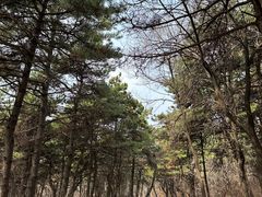 -沈阳辉山风景区