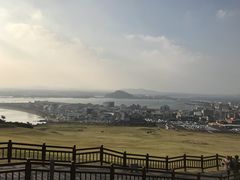 -涉地可支
