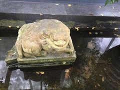 -旅马餐厅(茅家埠店)