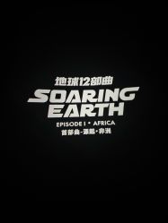 -飞览天下沉浸式飞行体验(北京旗舰店)