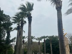 -集美鳌园景区
