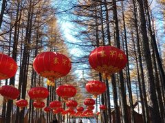 -塞罕坝国家级自然保护区