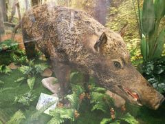 -下渚湖国家湿地公园科普馆