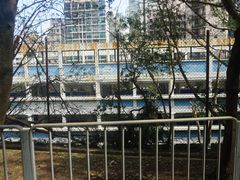 -香港大学