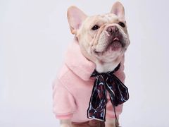 -PETKIT 小佩宠物·低压洗护·美容·寄养(安远店)