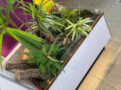 -过桥缘·过桥米线(大华虎城嘉年华店)