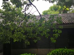 -中国人民解放军联勤保障部队第九〇三医院(九里松院区)