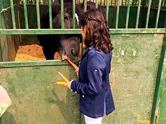 -月河湾马术俱乐部(朝阳店)