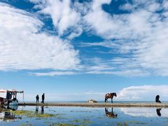 -青海湖国家重点风景名胜区