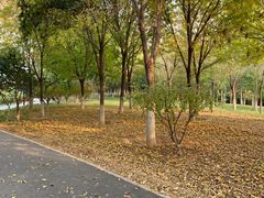 -永定河休闲森林公园