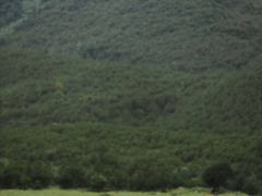 -怪咖·joker陈楠
