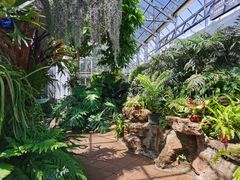 -北京植物园-展览温室