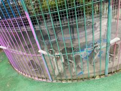 -萌宠亲子动物乐园(槐房万达店)