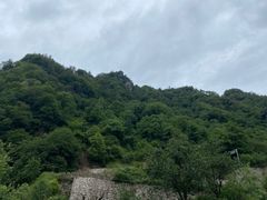 -陕西省红河谷森林公园
