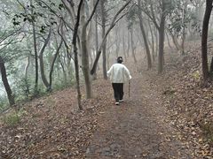 -雨花胜境