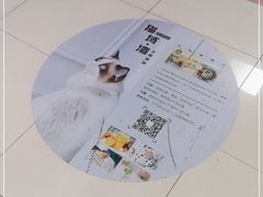 -猫域·湾主题猫咖·宠物吧(南坪城市广场店)