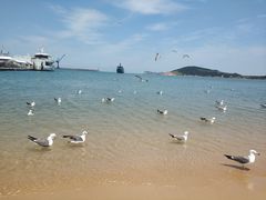 -海驴岛(荣成市)
