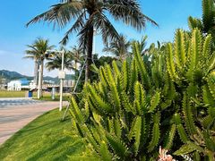 -大梅沙海滨公园