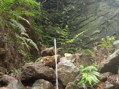 -火炉山森林公园