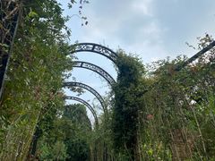 -杭州植物园