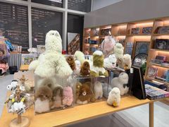 -朵云书院(滴水湖店)