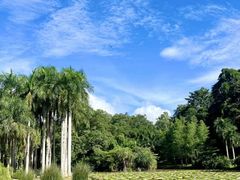 -中国科学院西双版纳热带植物园
