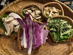 -滇野云南野生菌餐厅(陕西南路店)