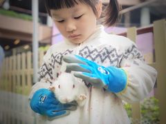 -瑞虹新天地月亮湾