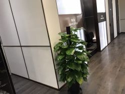 -崇尚GAVIN STYLE臻选