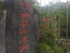-呀诺达热带雨林