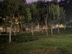 -天鹅湖体育公园