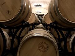 -北京张裕爱斐堡酒庄