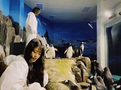 -成都浩海立方海洋公园