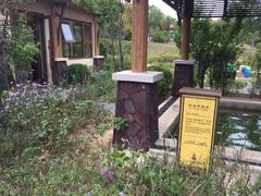 -大连金石滩绿发温泉假日酒店